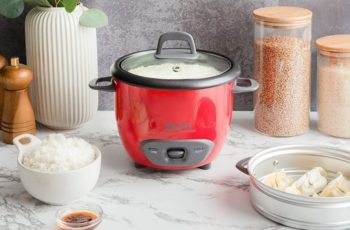 Top 10 Best Mini Rice Cooker Reviews in 2022