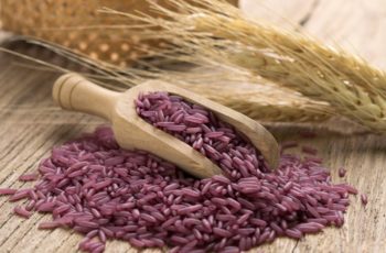 What is Purple Rice? Good Tips and Guides in 2022